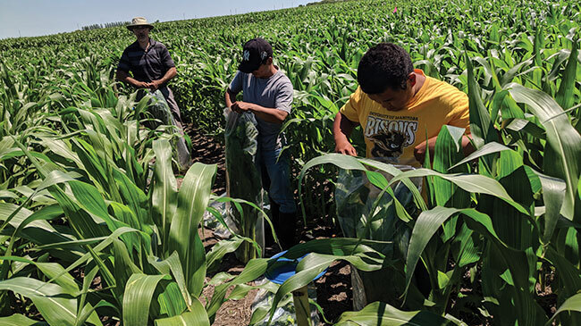 Monitoring and forecasting soil moisture